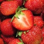 Клубника Кент