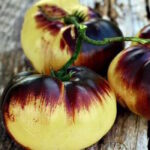 Томат Большой белый + П-20