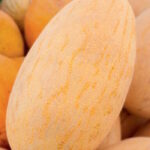 Дыня Бизан F1