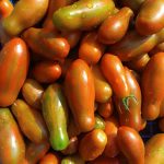 Томат Оливетта Полосатая