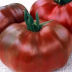 Томат Кальвадос