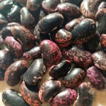 Фасоль крупнозерновая Красный ром