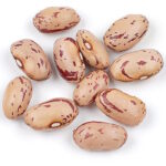 Фасоль зерновая Пестрая клюква