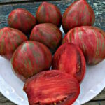 Томат Пурпурный Сердцеед