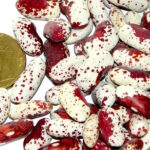 Фасоль Каннелино Красная