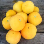 Томат Жёлтая мишень