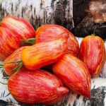 Томат Желтый огонь