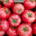 Томат Малиновый виконте