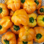 Перец Топепо жёлтый