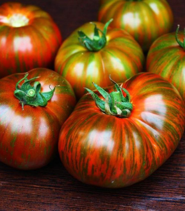 92362_Томат Золотые полосы_02 Томат Золотые полосы — изображение 1