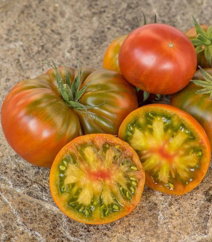 92375_Томат Пит Вайпер_01 Томат Пит Вайпер — изображение 1