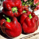 Перец Киборг