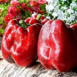 Перец Революция