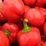 Перец Онтара
