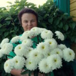 Нивяник Брайдл Вейл