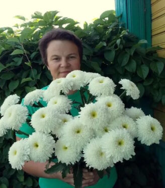 Новинки 19802 nivjanik brajdl vejl 01